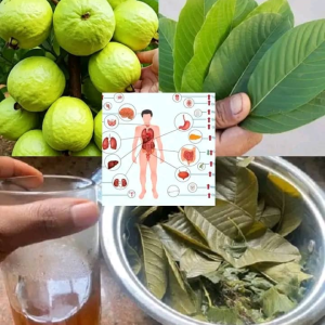 hemorrhoids(hemorroides)