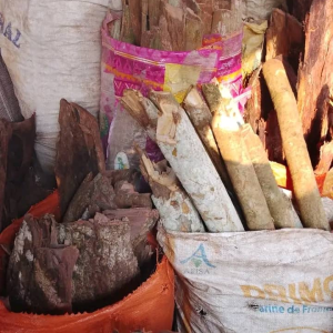 lung diseases(maladie des poumons)